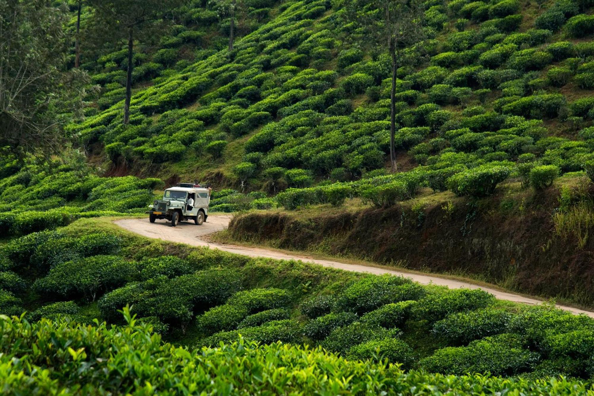Spicegreen Homestay,테카디 외부 사진